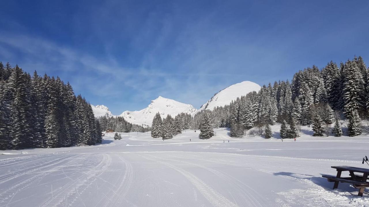 Studio Cabine Praz De Lys ตาแน็งจ์ ภายนอก รูปภาพ