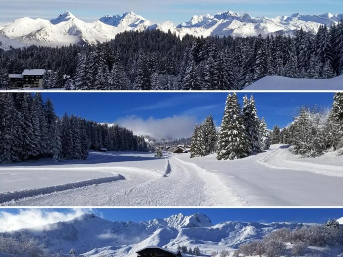 Studio Cabine Praz De Lys ตาแน็งจ์ ภายนอก รูปภาพ
